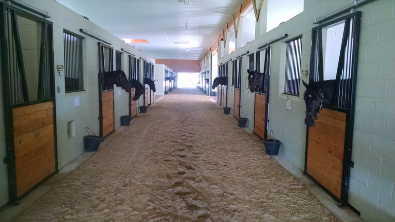 horse stall doors and fronts custom made - sf0003